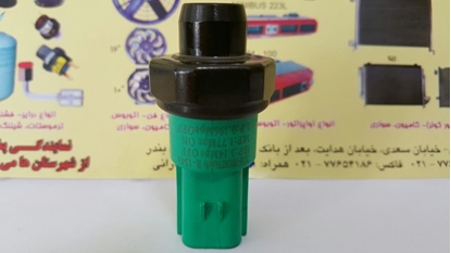 تصویر از فشنگی پی کاپ چینی