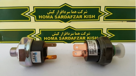 تصویر از فشنگی دوفیش هایلو اصلی