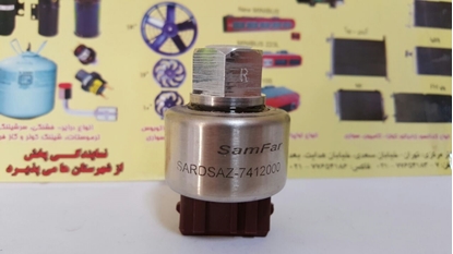 تصویر از فشنگی زانتیا چینی