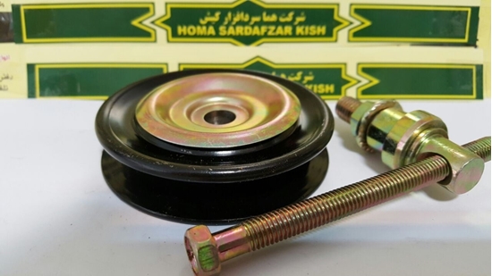 تصویر از فولی هرزگرد معمولی چینی